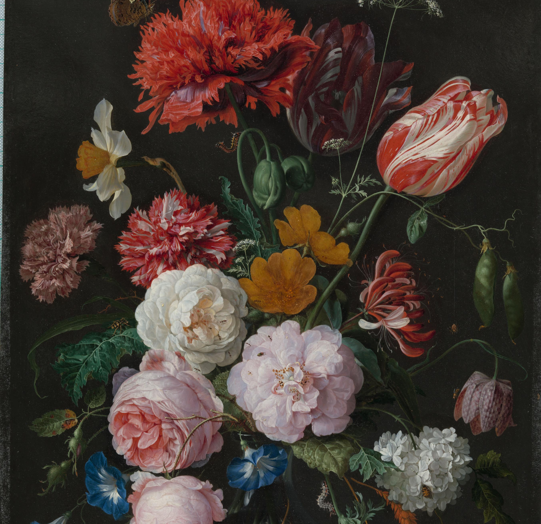 Rachel Ruysch's Flower Still Life
